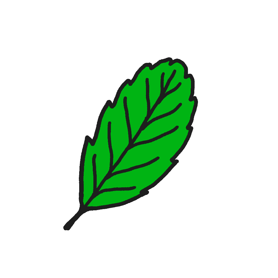 Frischer Cold-Brew Mate