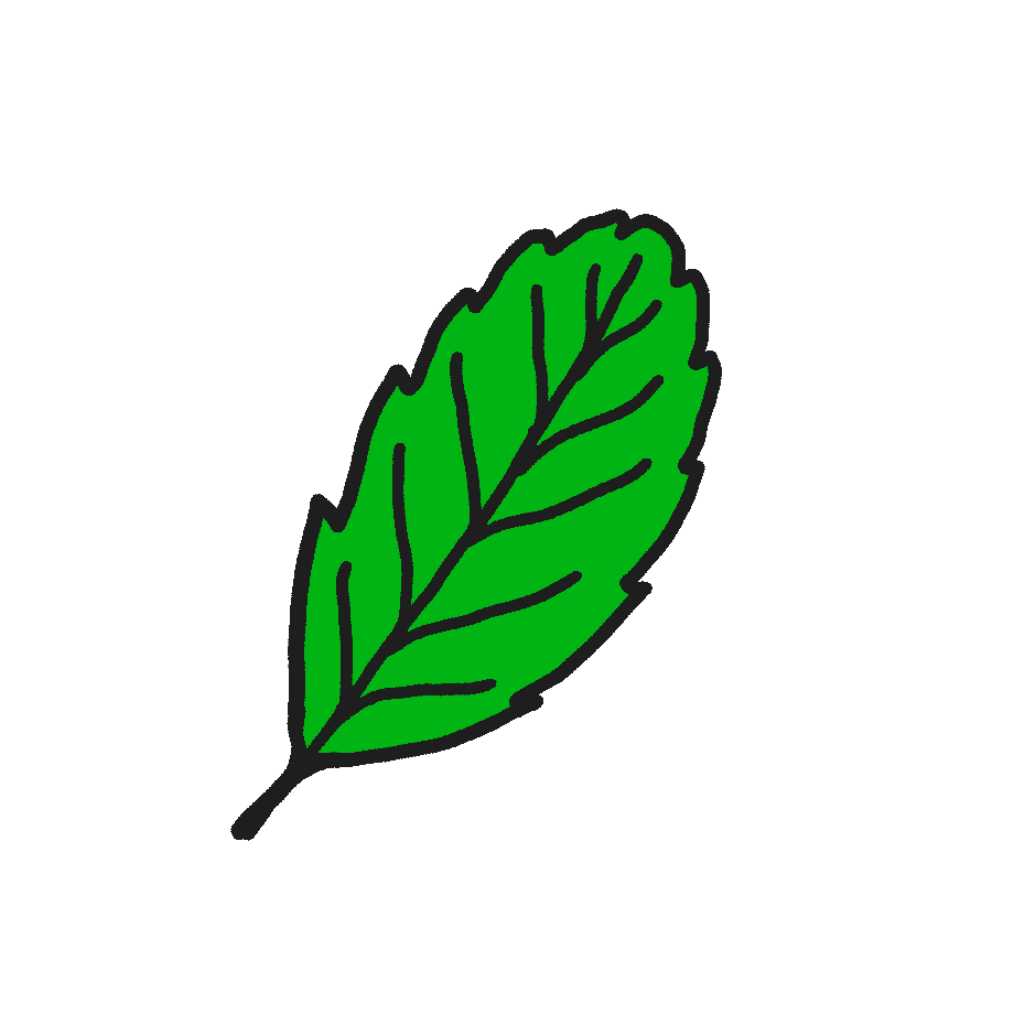 Frischer Cold-Brew Mate