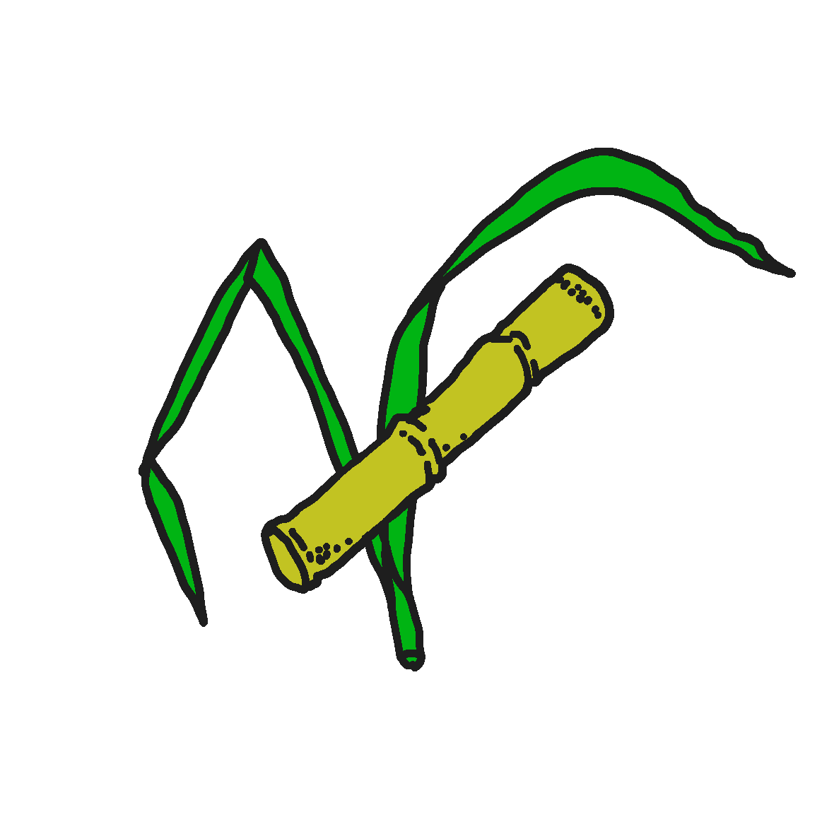 Eine Prise
Bio-Rohrzucker