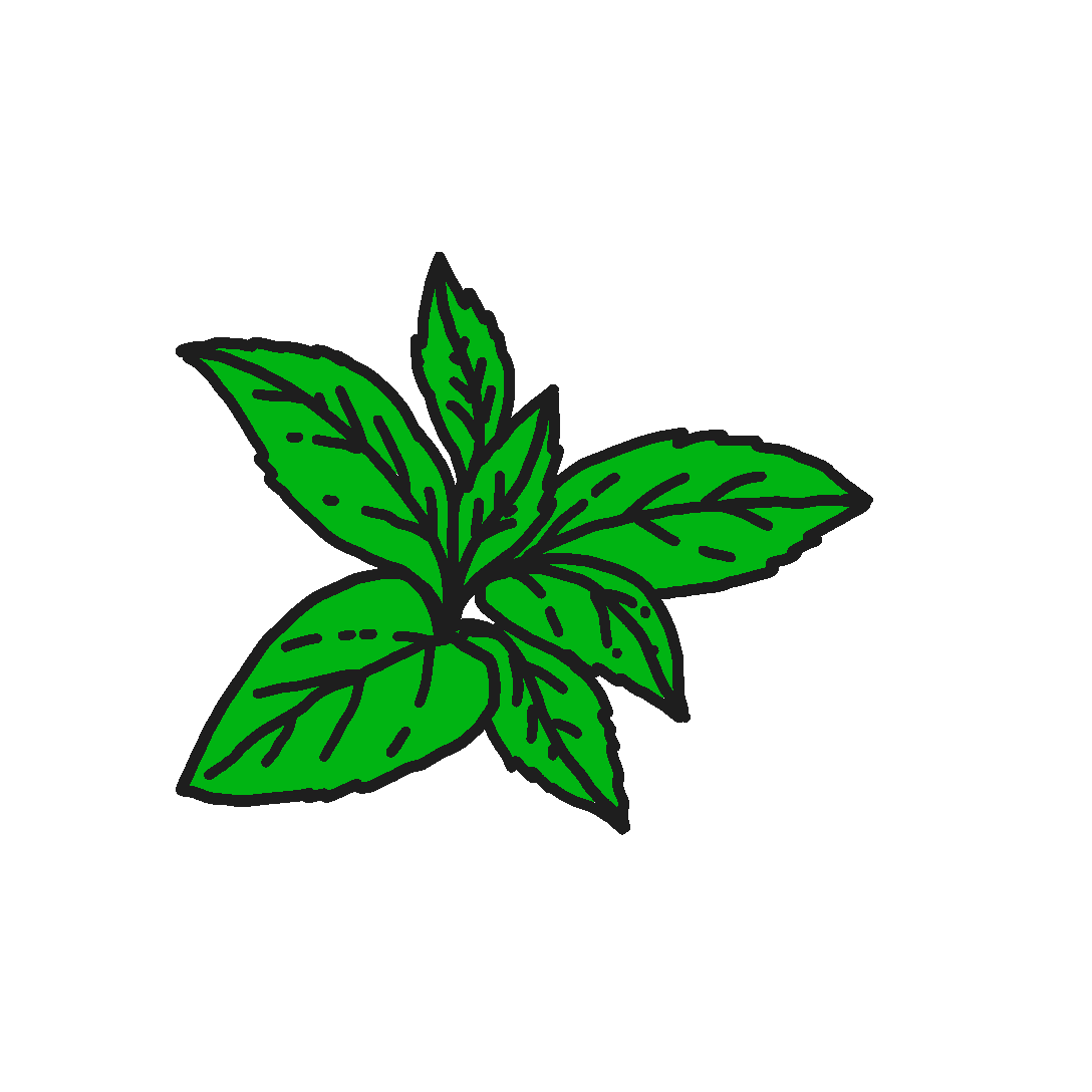 Ein Hauch frisch aufgebrühter
Minze-Tee