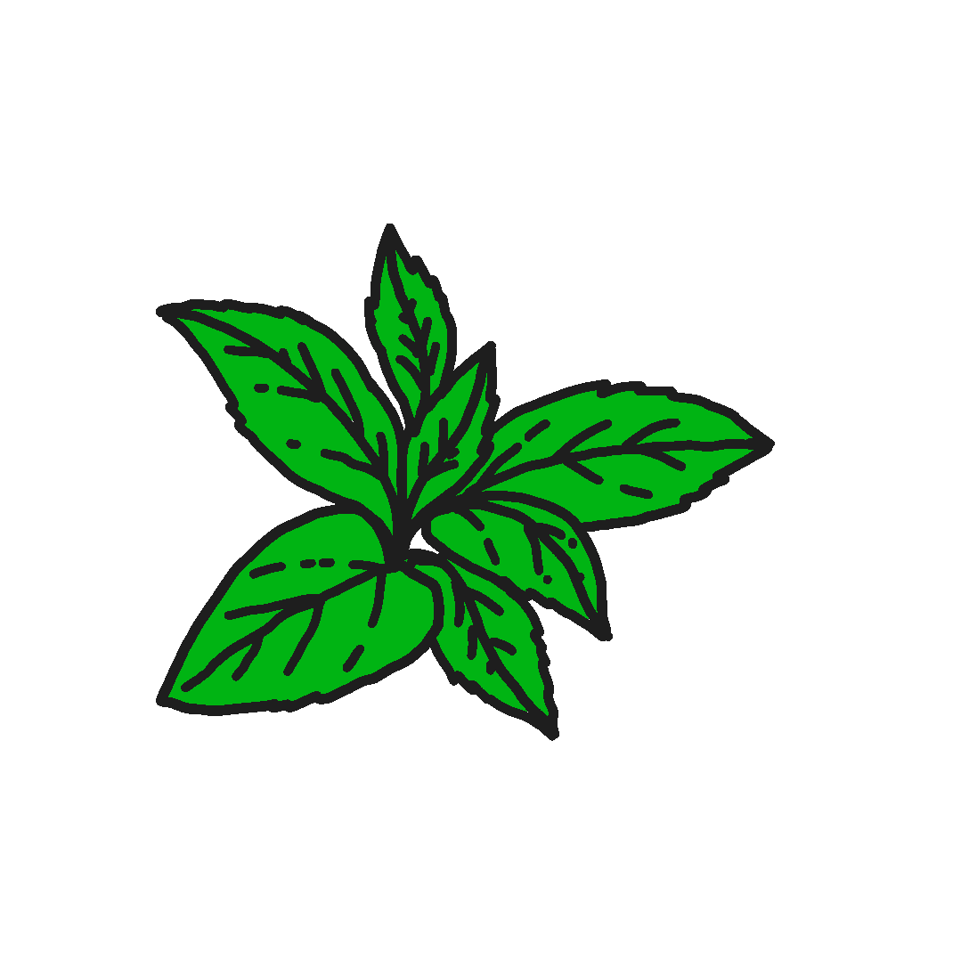 Ein Hauch frisch aufgebrühter
Minze-Tee